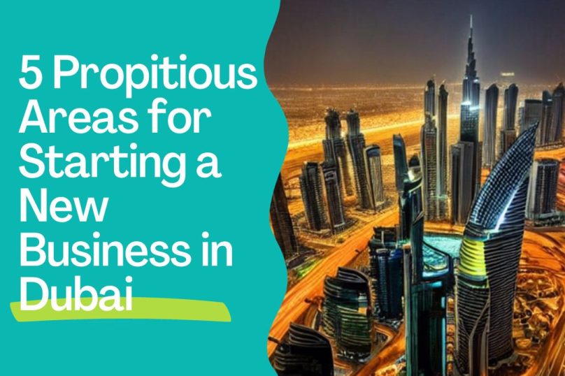 5 Propitious Areas for Starting a New Business in Dubai